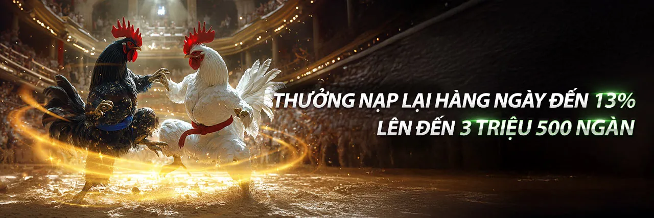 Đấu trường đá gà trực tuyến sôi động tại Cwin999